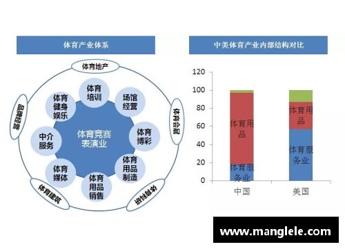 球员股权：赋能体育产业的新时代